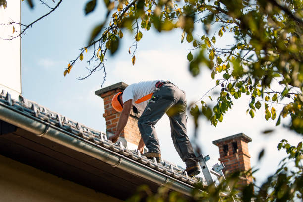 Best Emergency Roof Repair  in Fairbury, IL